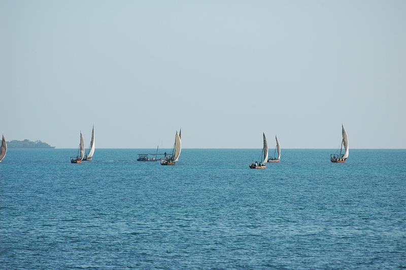 Sail boats.JPG